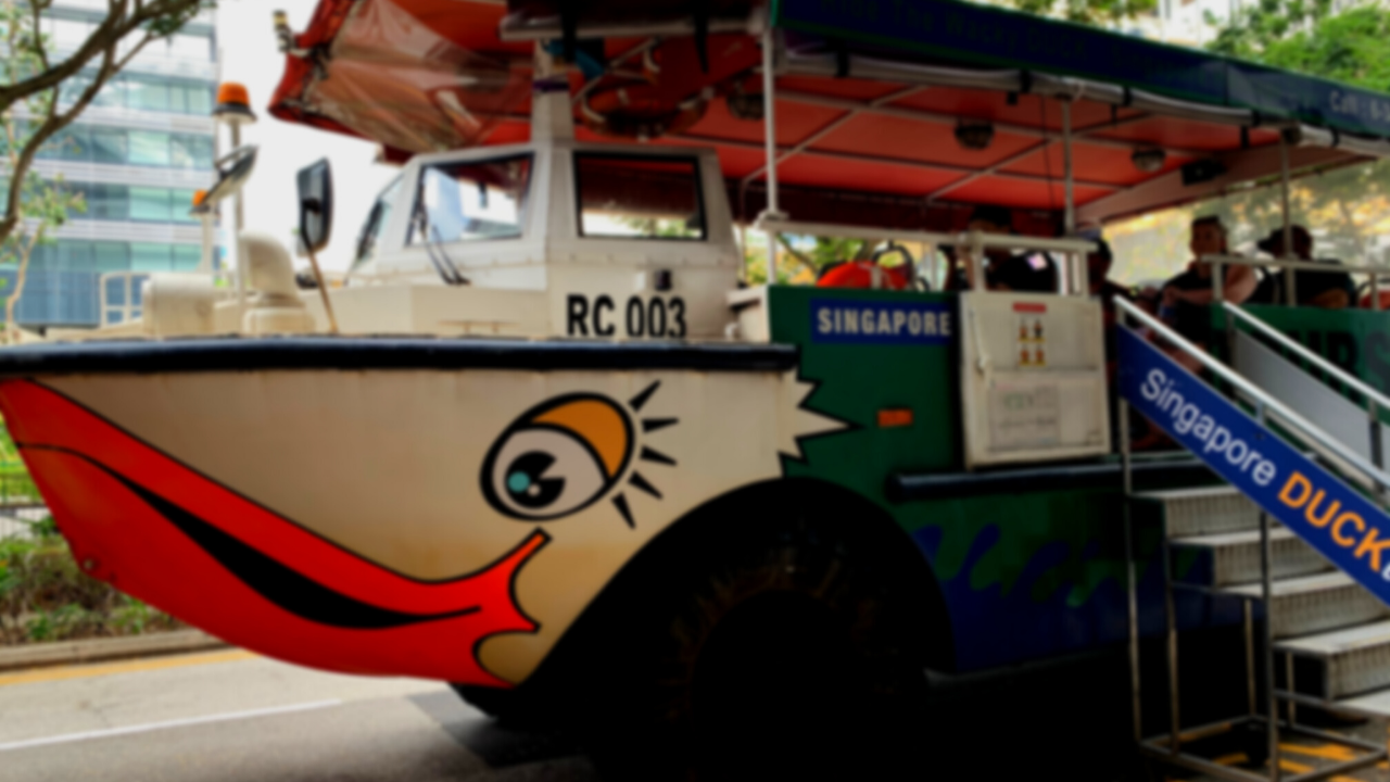 Big Bus & Duck – A Unique Sea and Land Adventure