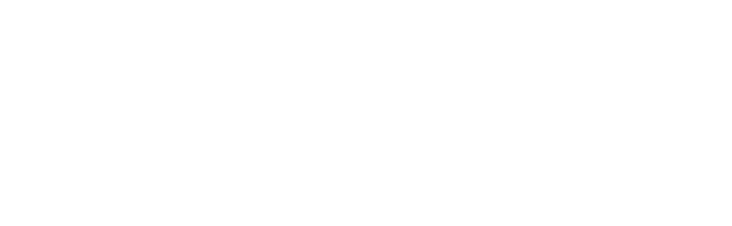 Main Logo